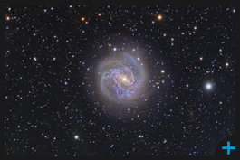 M83 Southern Pinwheel